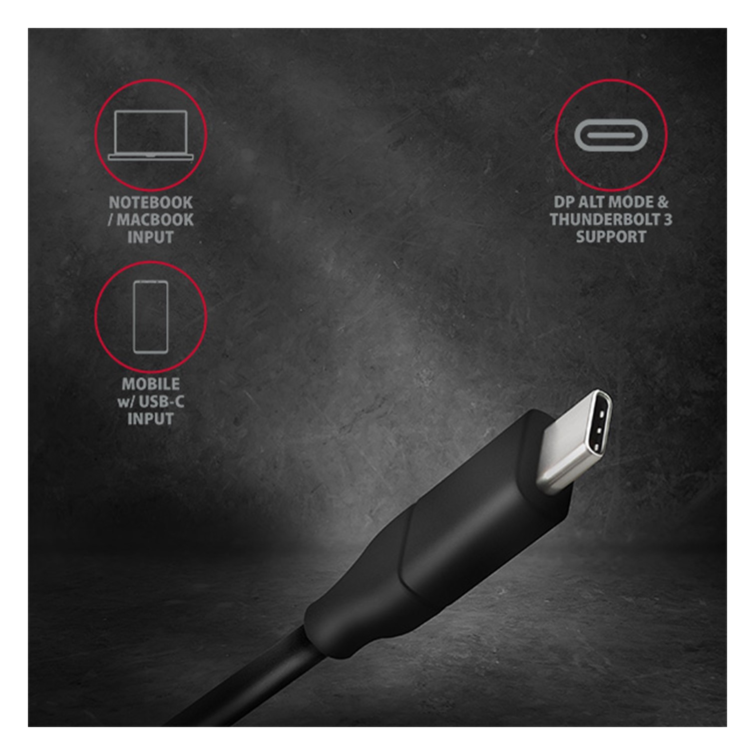 CC USB CM -> DisplayPort cable 1.8m 4K/60Hz, AXA