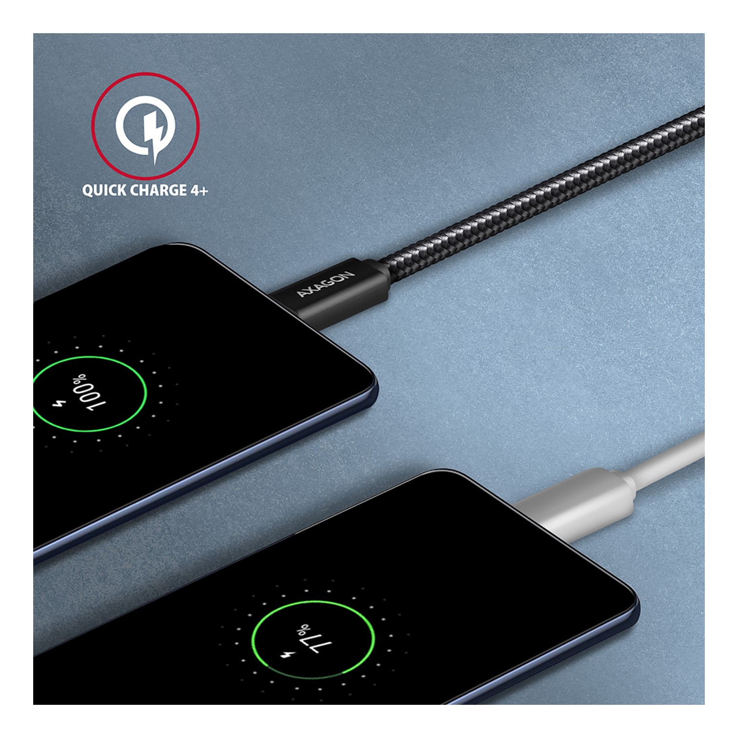 BUCM32-CM20AB SS  USB-C 3.2 GEN 2 CABLE