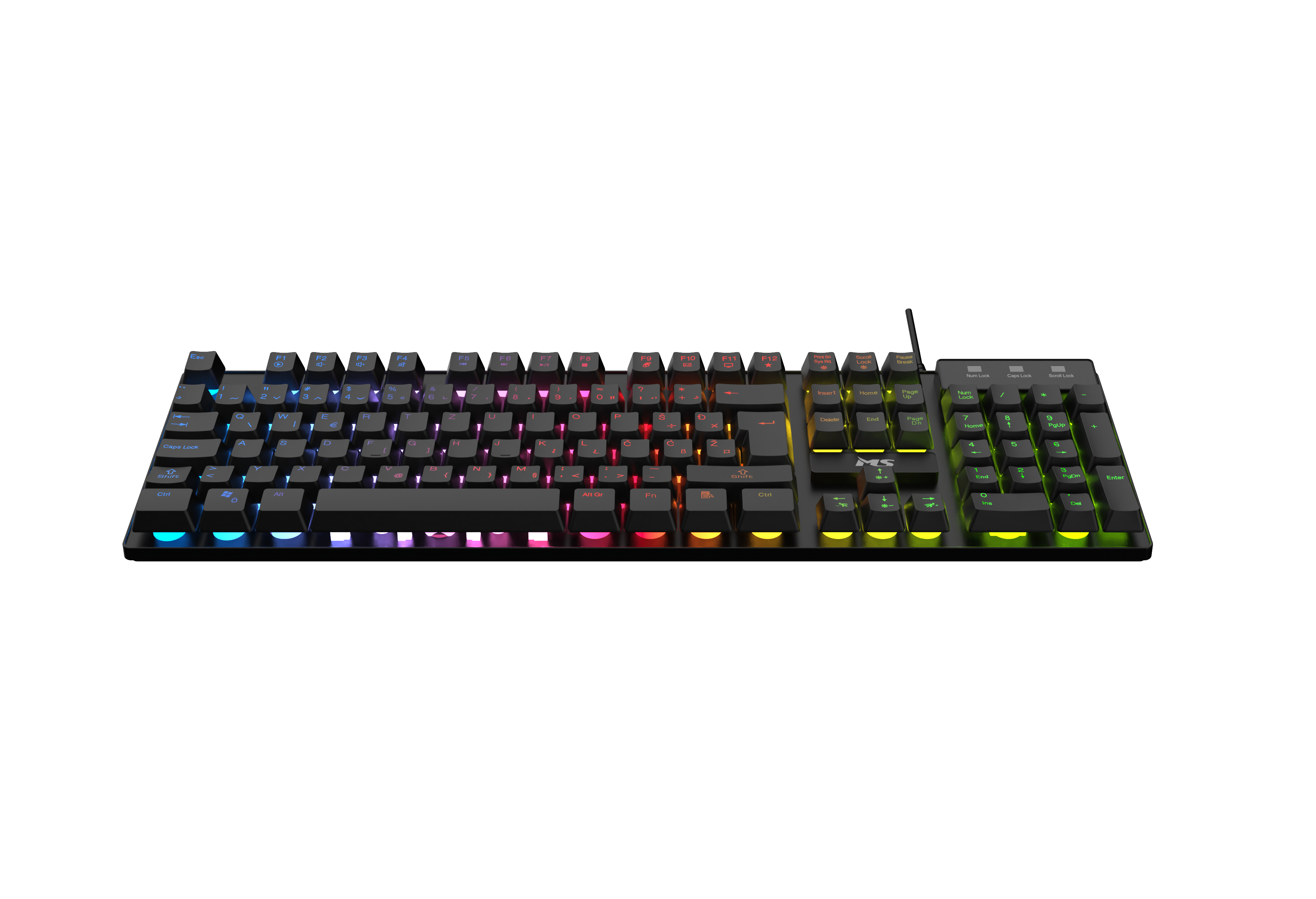 TAST MS ELITE