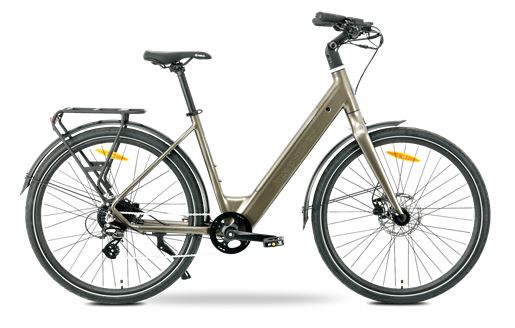 MS ENERGY eBike Zorya bronze_REG